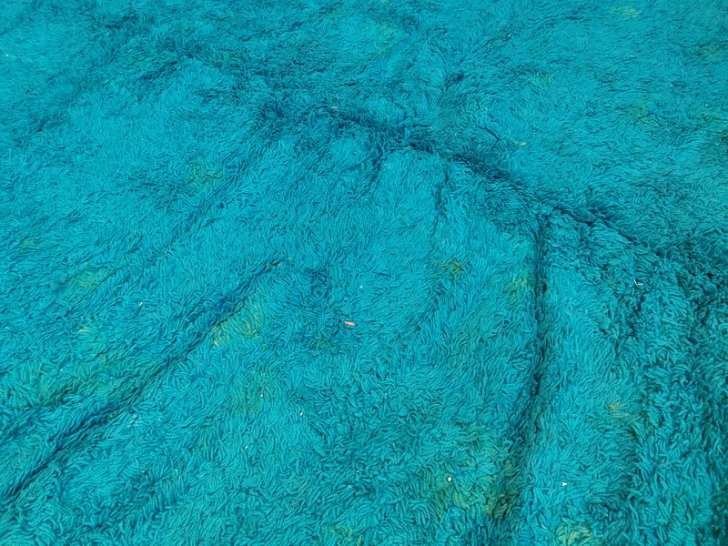 alfombra lana azul manchada 285x200 1u